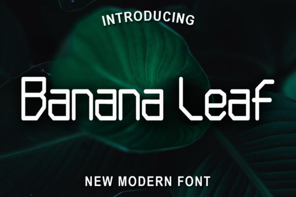 Why Banana Leaf Is the Perfect Geometric Display Font for Your Projects